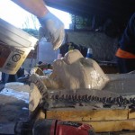 birusu cosplay head mould